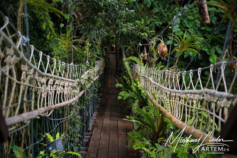 Thailand Hängebrücke zum Baumhauscafe